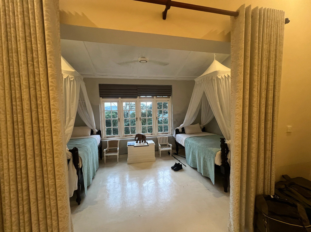 Ashburnham Estate主图