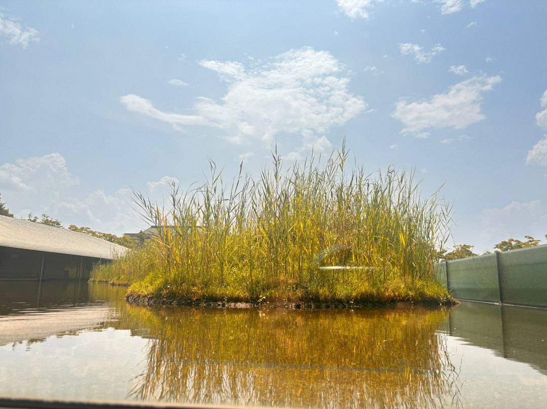Sagawa Art Museum-守山市必去景点