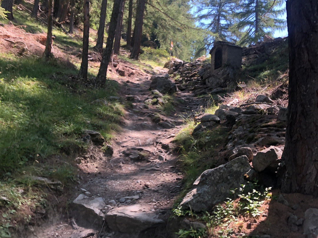 Charles Kuonen Suspension Bridge-Randa必去景点
