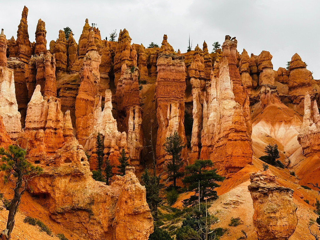 Bryce Amphitheatre-布莱斯峡谷国家公园必去景点