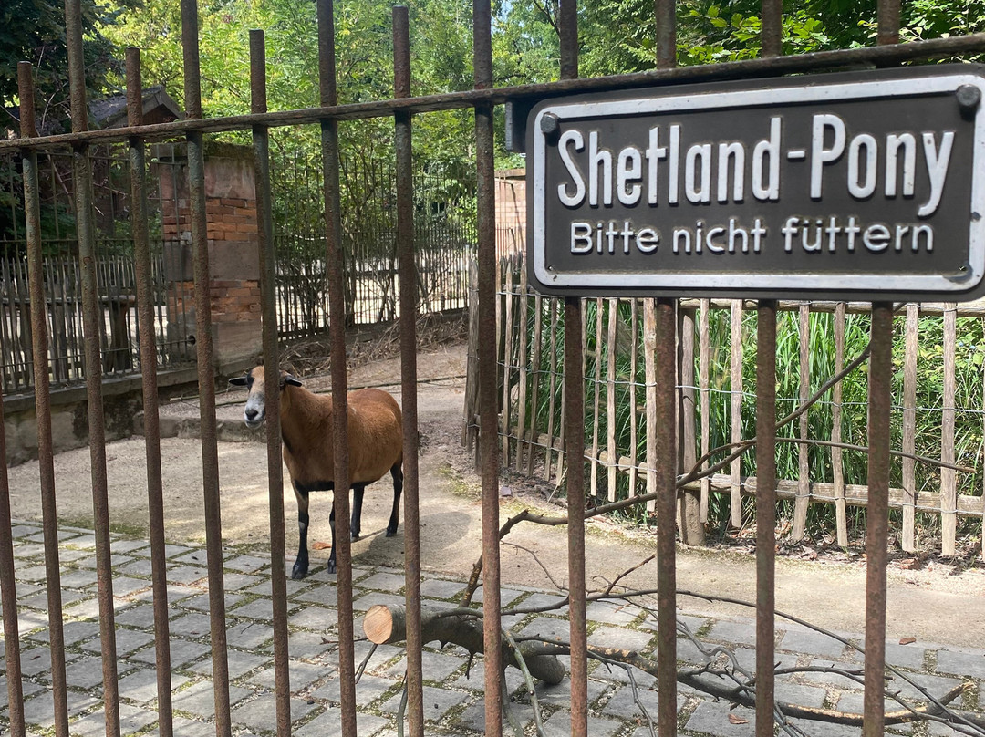 Stadtpark-拉尔必去景点