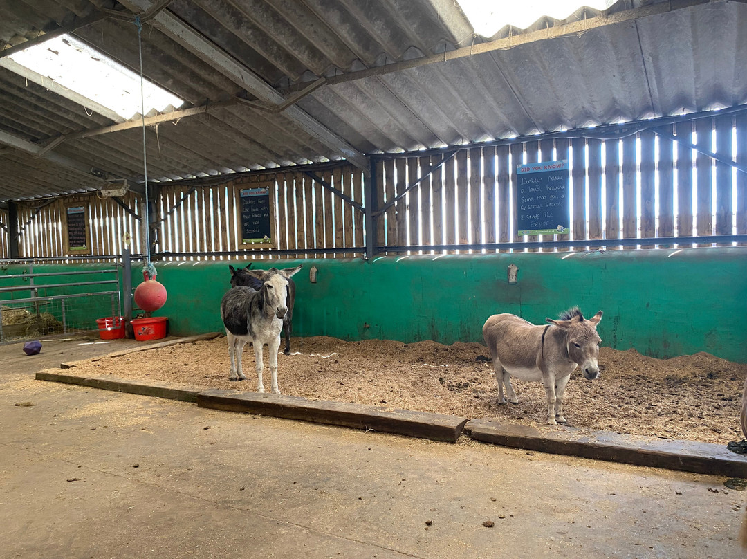 Walby Farm Park-Crosby on Eden必去景点