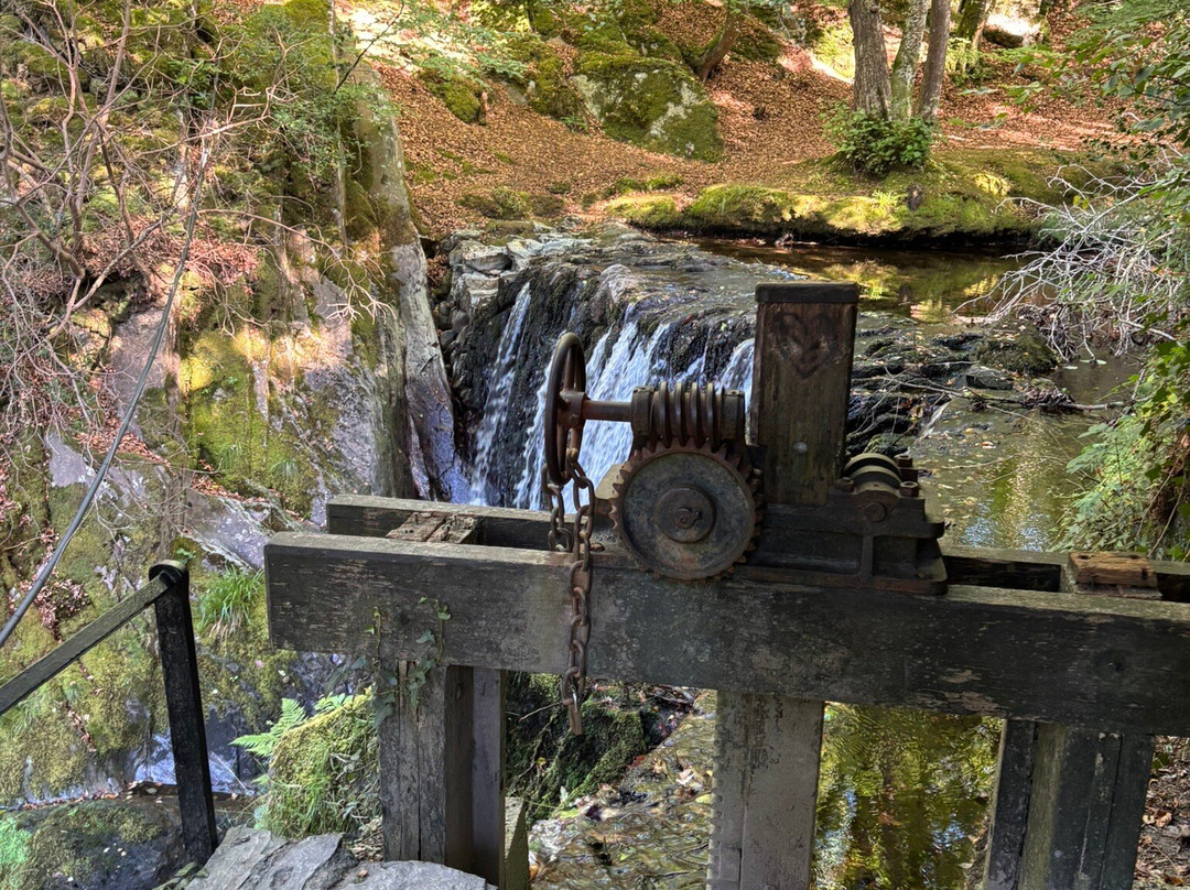 Dyfi Furnace-Machynlleth必去景点