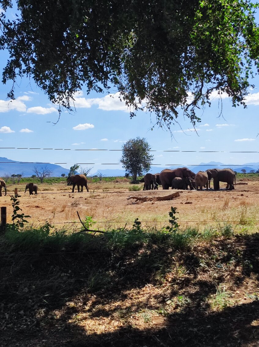 Sentrim Tsavo Lodge-官方