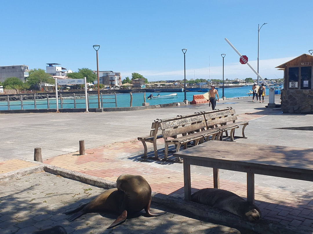 Playa de Oro-Puerto Baquerizo Moreno必去景点