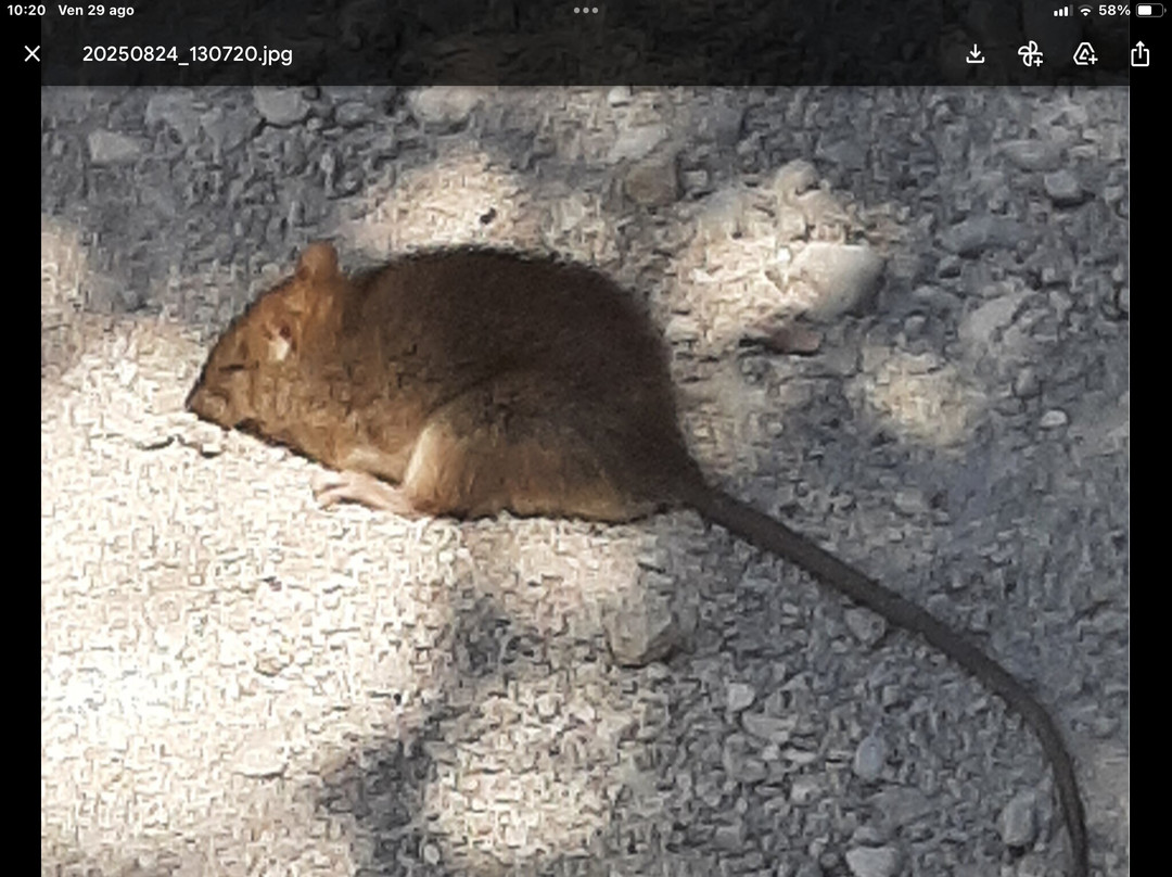 Poseidon Blue Gastronomy Hotel主图