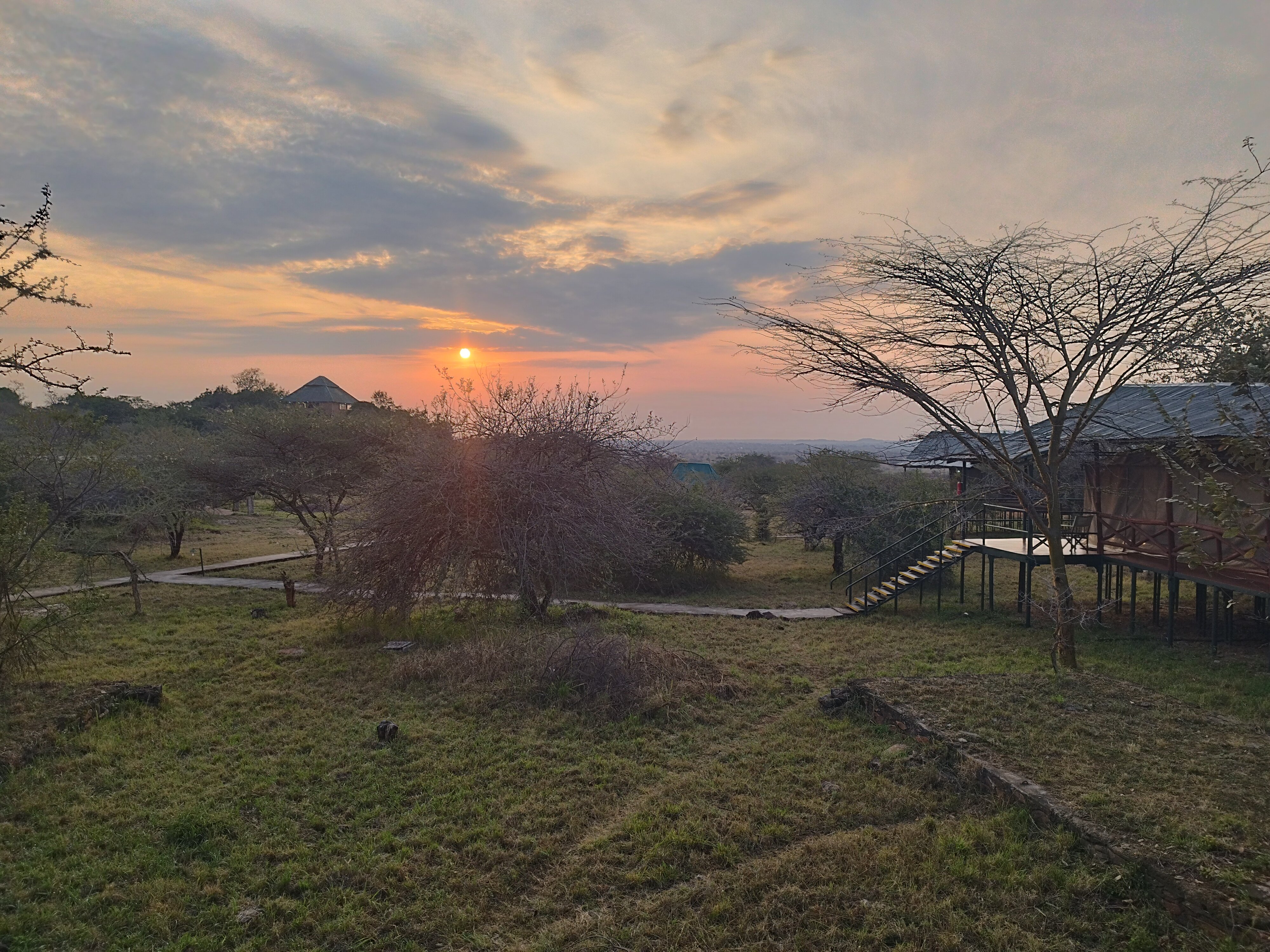 Ikoma Wild Camp-酒店景观