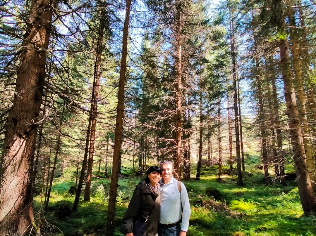 比恩威里阿拉洛查酒店主图