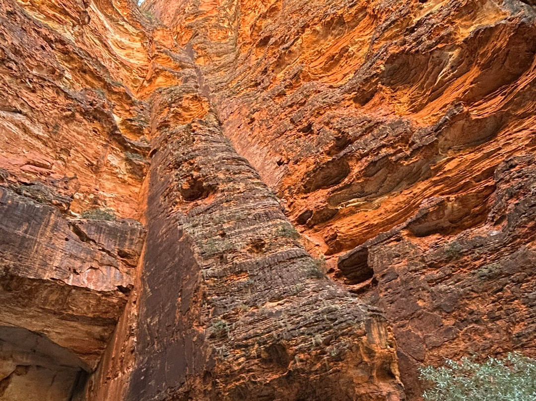 Adventure Wild Kimberley Tours-布鲁姆必去景点