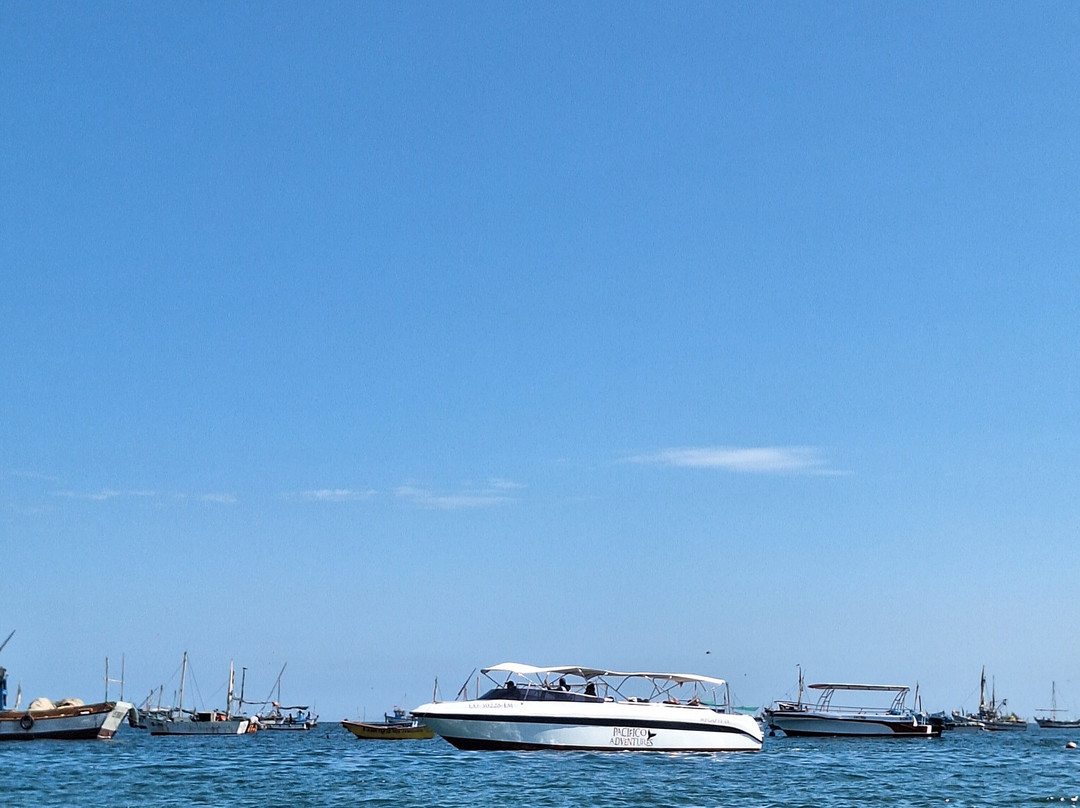 PacIfico Adventures-Organos必去景点