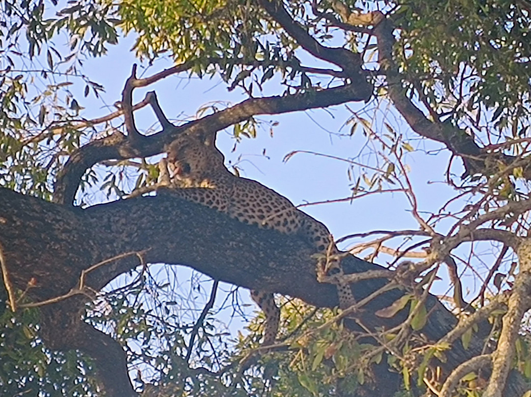 Dél-afrika-mozambik-尼斯普鲁特必去景点