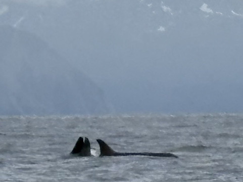 Seacor Tours-苏厄德必去景点