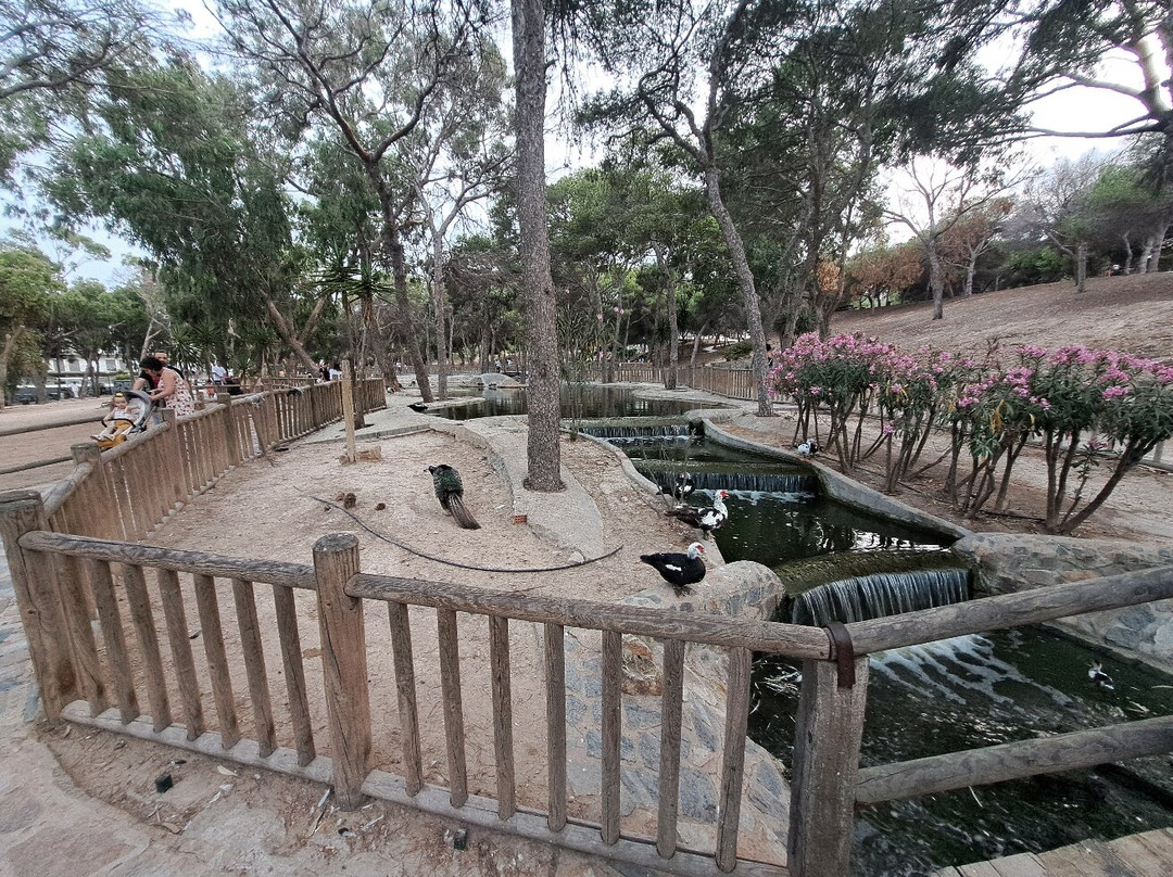 Reina Sofia Park-瓜尔达马尔德尔塞古拉必去景点