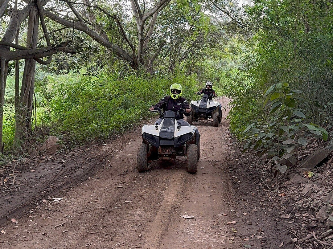 Dirt Mania Outdoor Adventures-班加罗尔必去景点