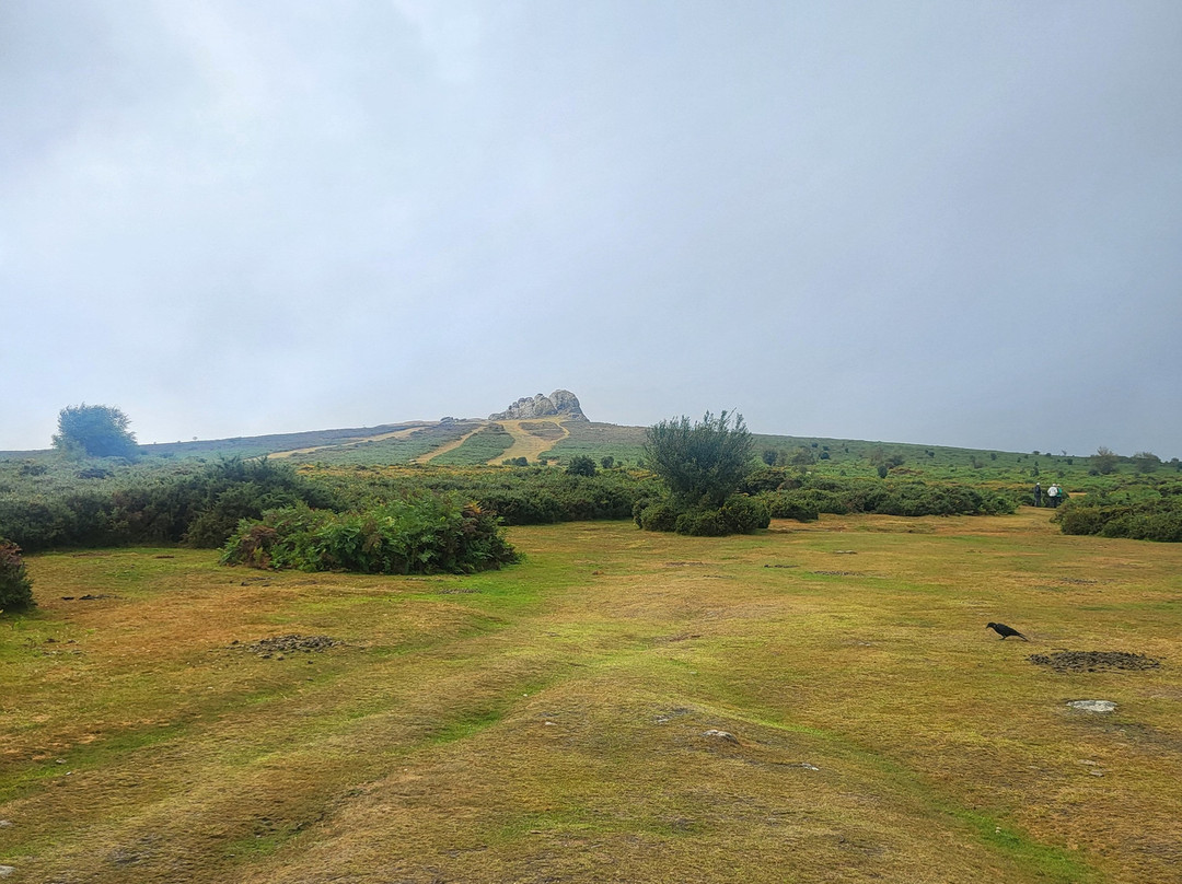 National Park Visitor Centre - Haytor-达特穆尔国家公园必去景点