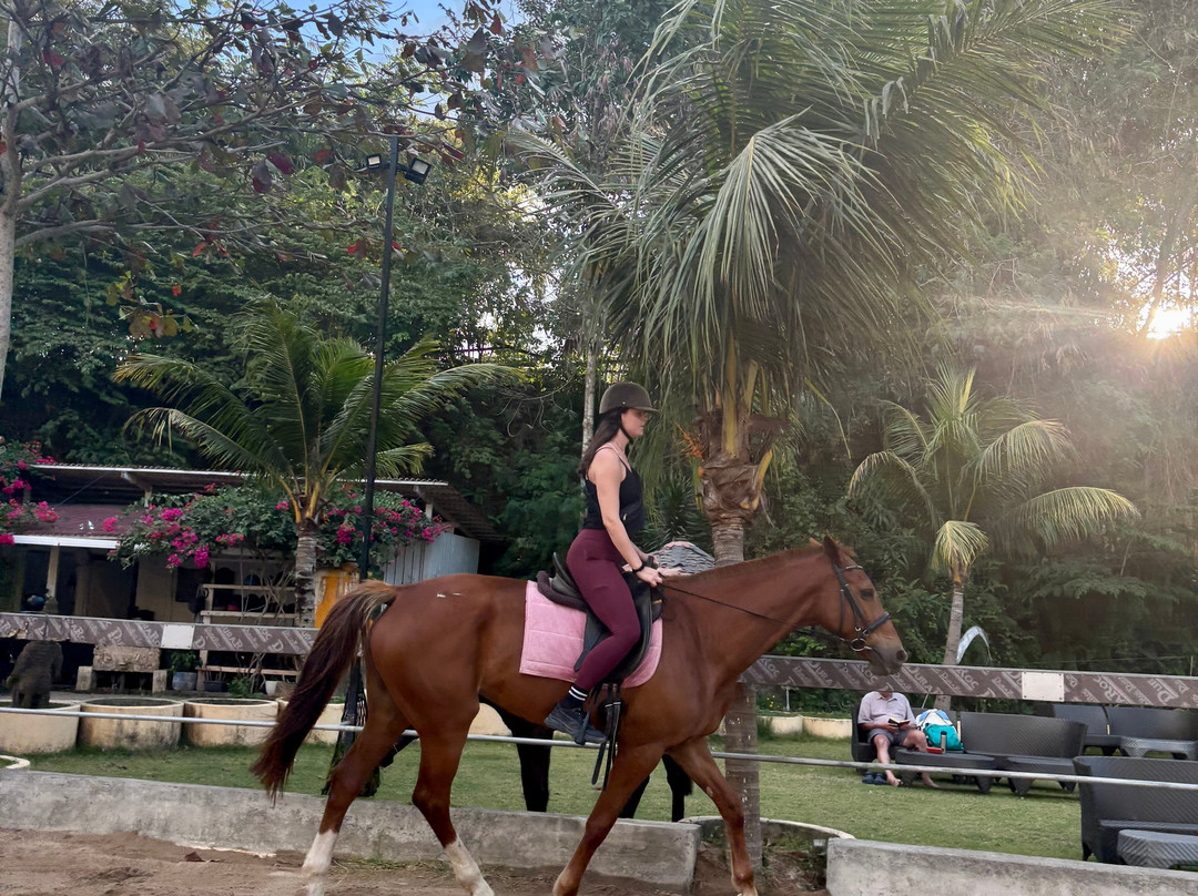 Royal Sporthorse Bali-Kutuh必去景点