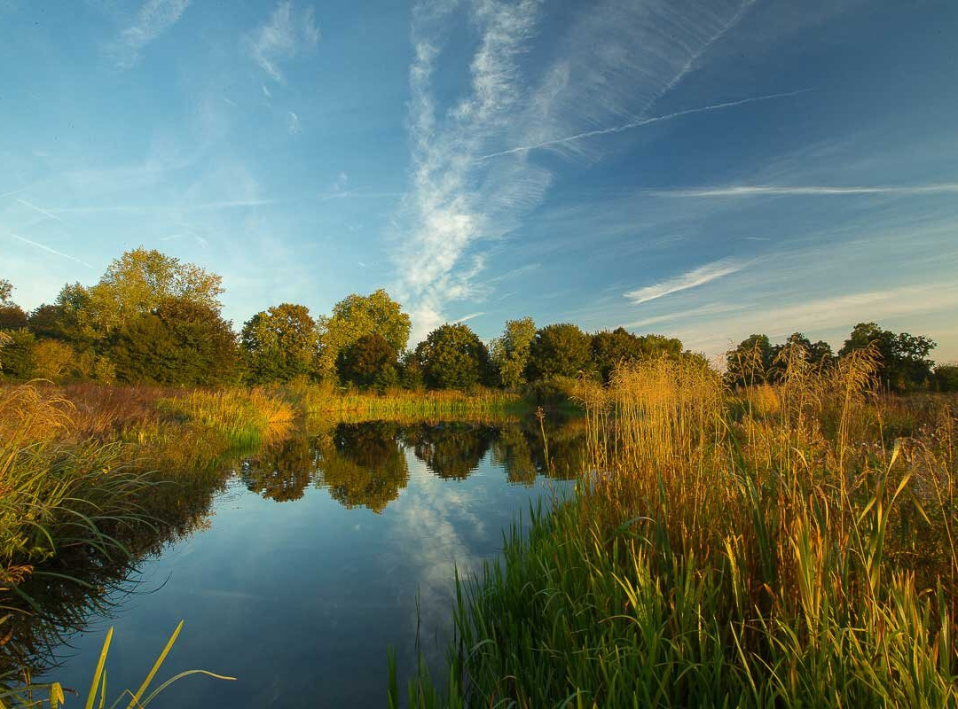 Clandon Wood-East Clandon必去景点