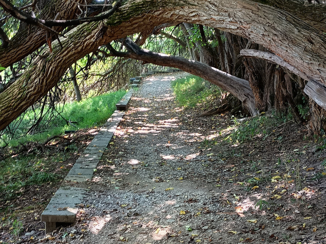 Nixon Park Nature Center-约克必去景点