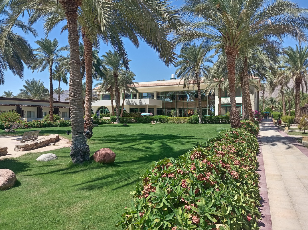 Nuweiba Club Resort主图