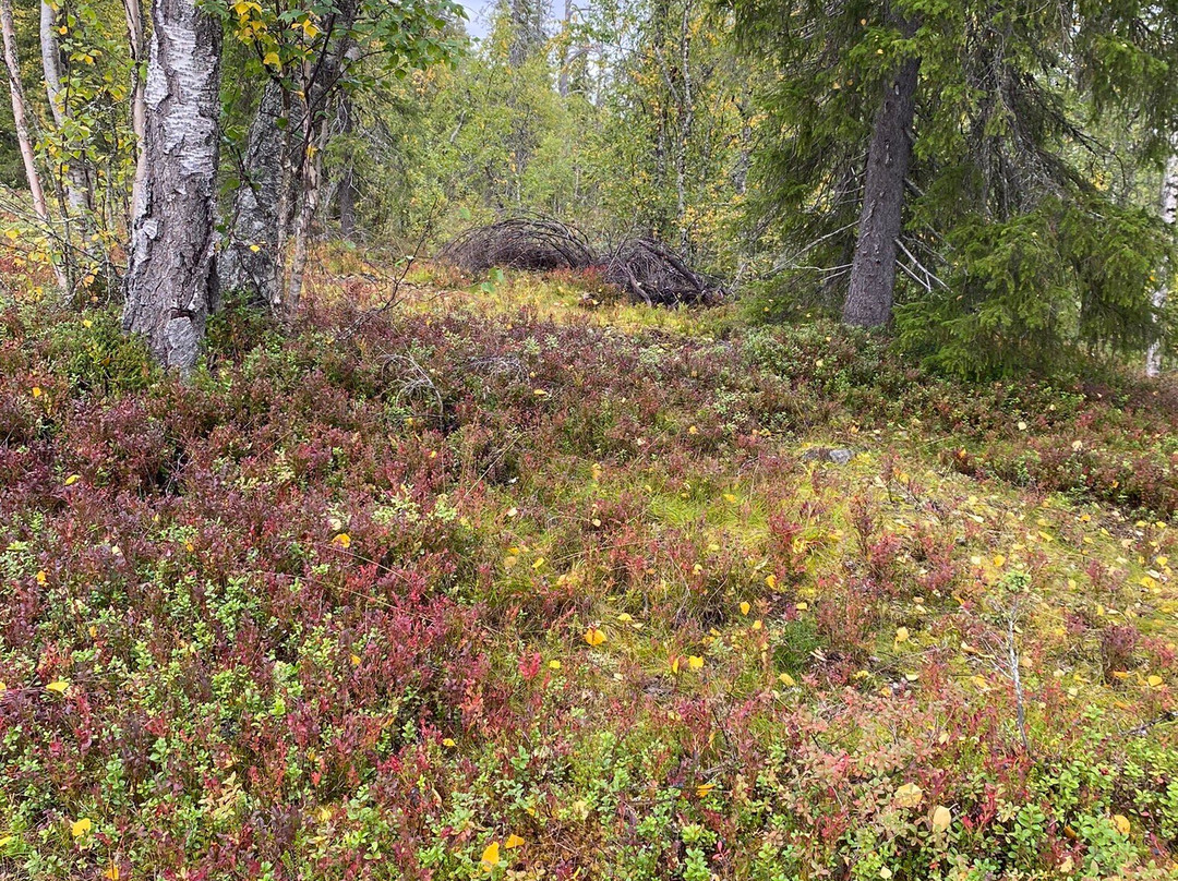 Amethyst Mine, Pyhä-Luosto, Lapland-Luosto必去景点