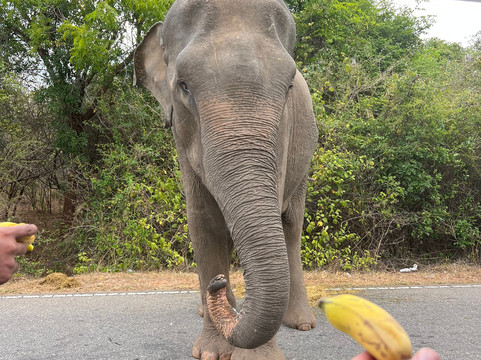 Suhasna Travels & Tours-马塔拉必去景点