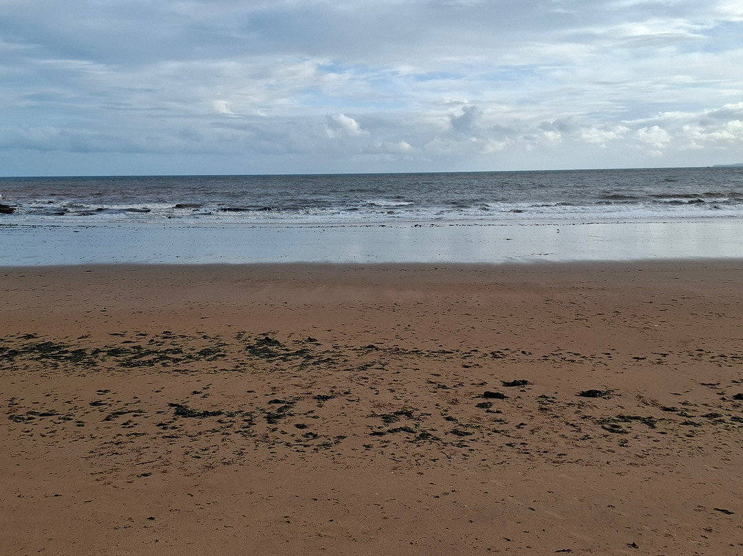 Sandy Bay Beach-埃克斯茅斯必去景点
