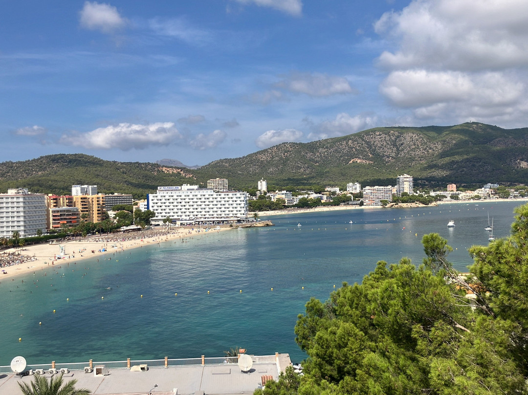 Fergus Style Tobago主图