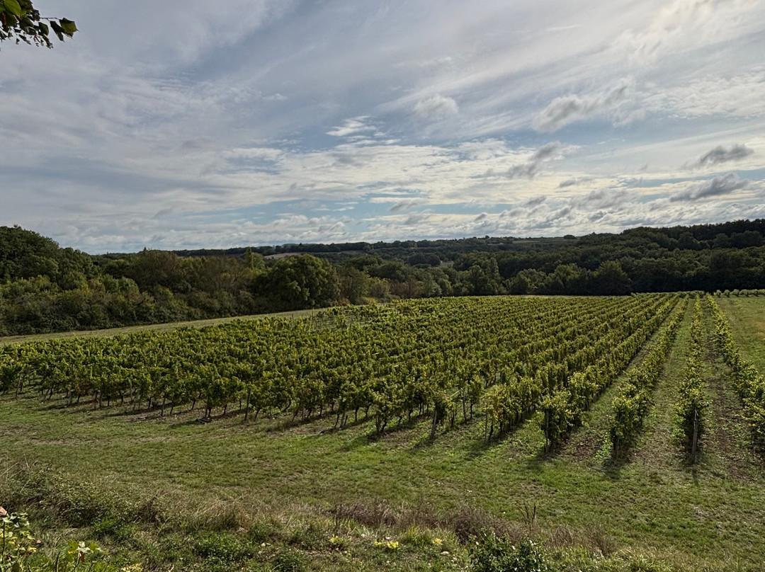 Bergerac Wine Tours-Eymet必去景点