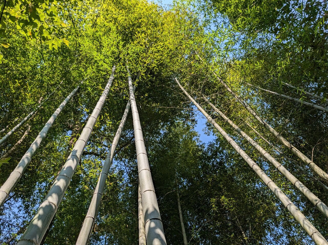 Easy Tour China-桂林市必去景点