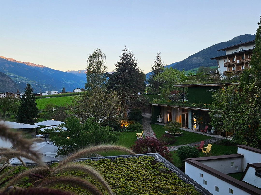 Gardenhotel Crystal主图