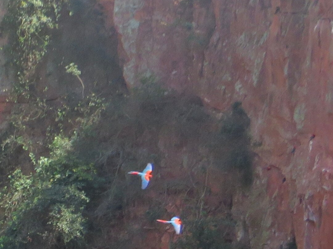 Buraco das Araras Ecoturismo-雅尔丁必去景点