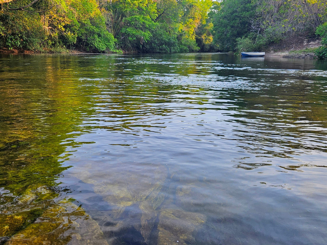 Jalapão Gaviões do Cerrado-Ponte Alta do Tocantins必去景点