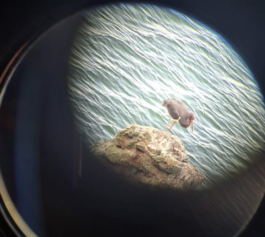 Birding Holidays-Plasencia必去景点