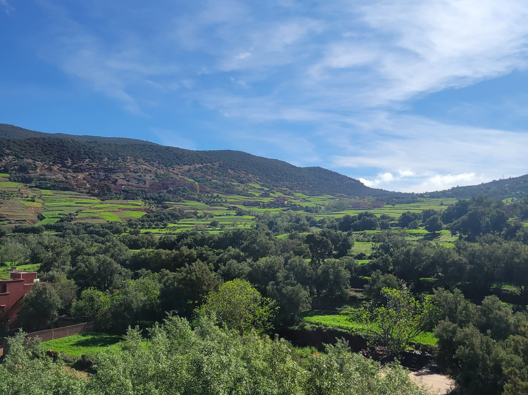 Desert Unlimited Morocco - Day Tours-瓦尔扎扎特必去景点