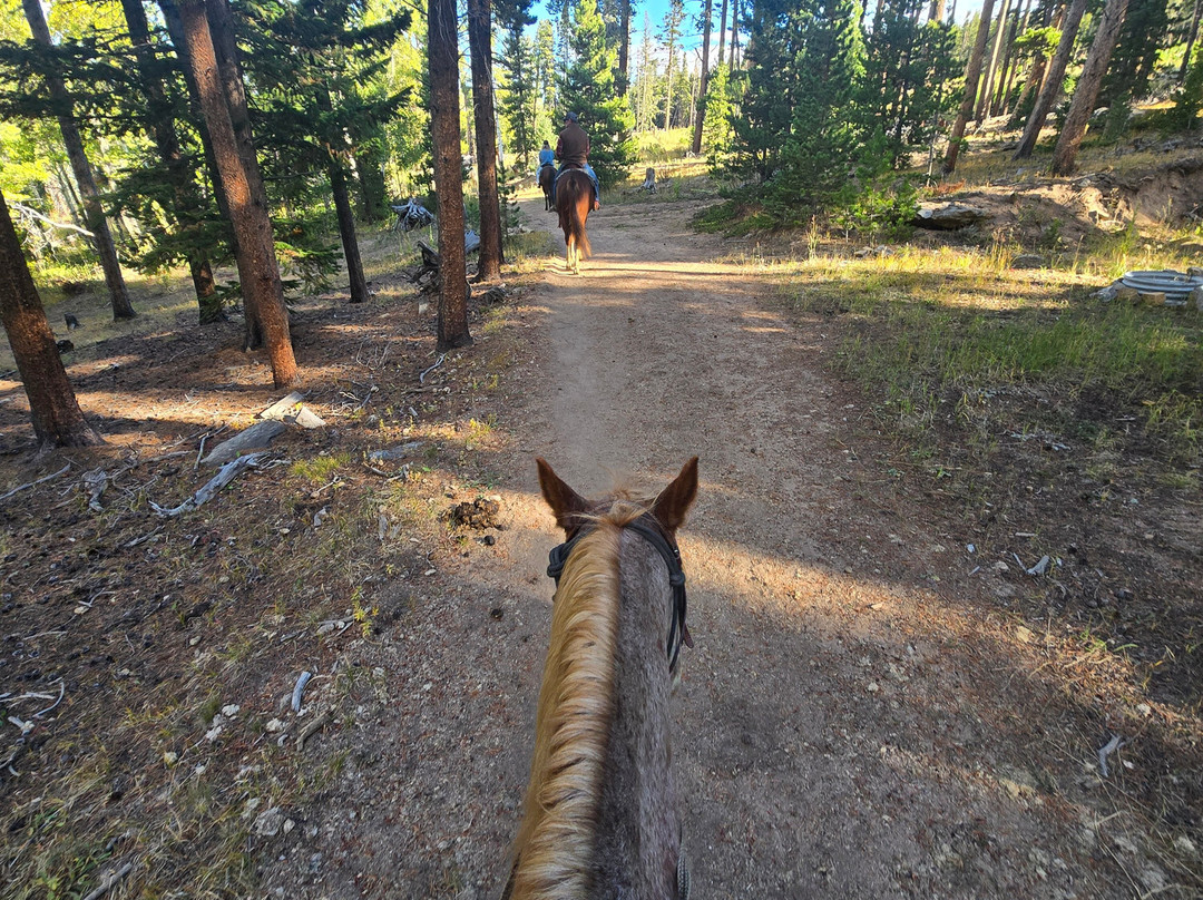 Elkhorn Stables-埃斯蒂斯公园必去景点