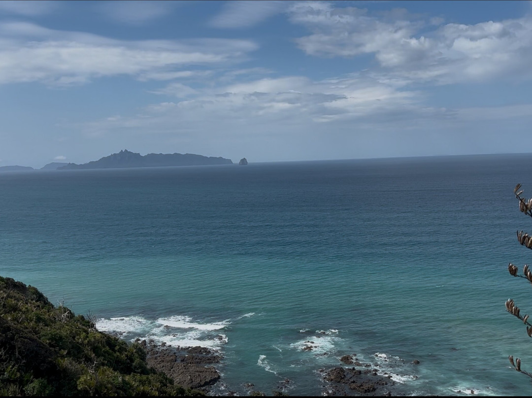 Mangawhai Walkway-Mangawhai必去景点