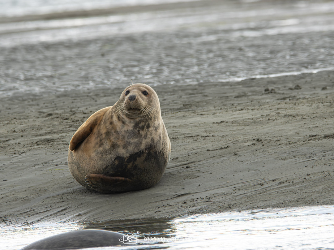Chichester Harbour Water Tours-West Itchenor必去景点