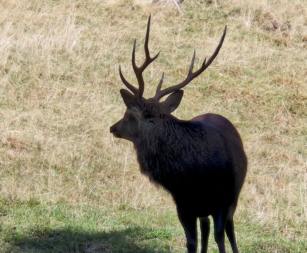 Parc De Merlet-莱苏什必去景点