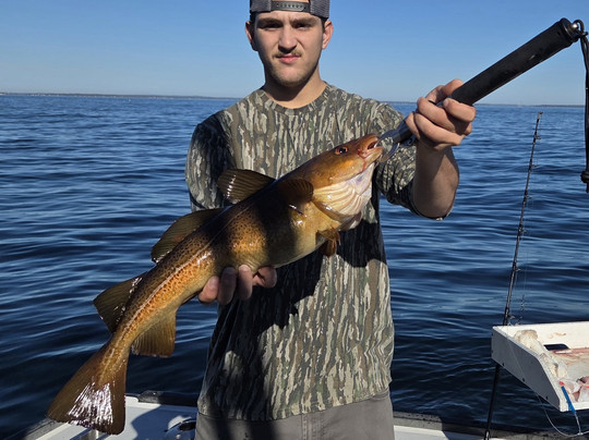 Teazer Charters-南波特兰必去景点