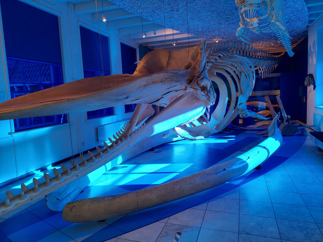 Natuurmuseum Fryslan-吕伐登必去景点