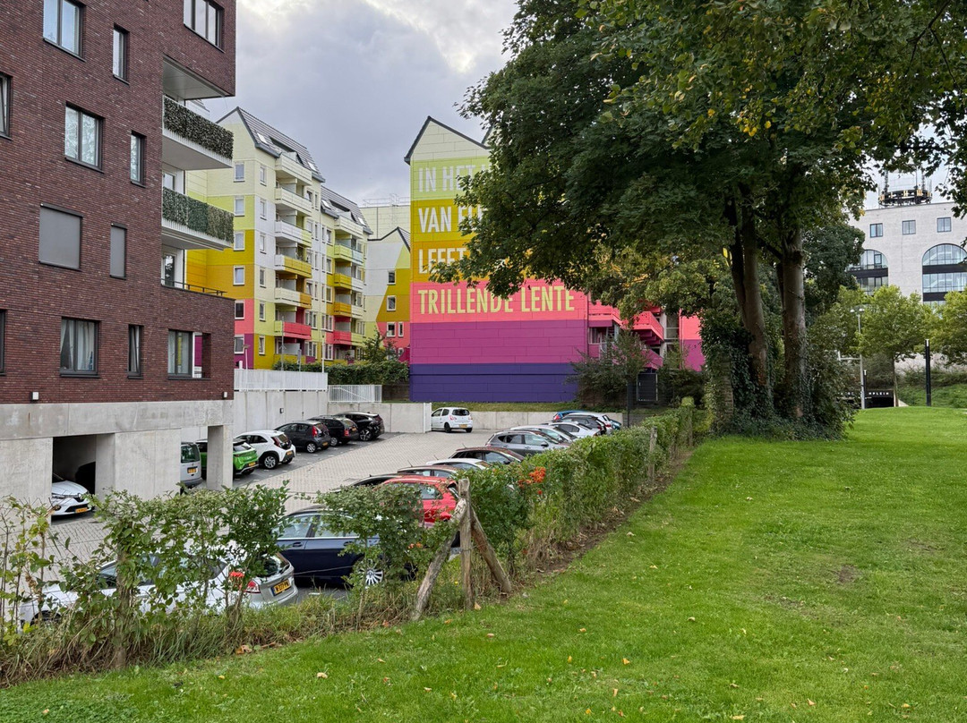 B&B The Project主图