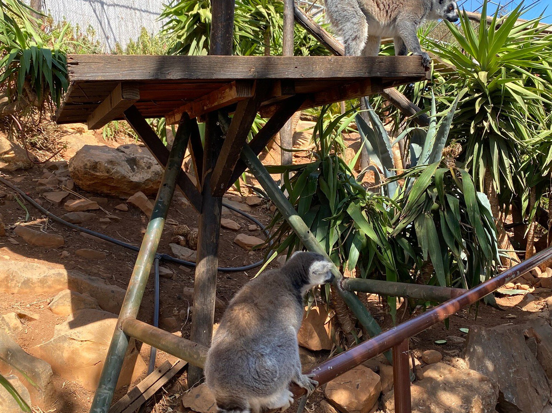 Amazonas Park-Kourounes必去景点