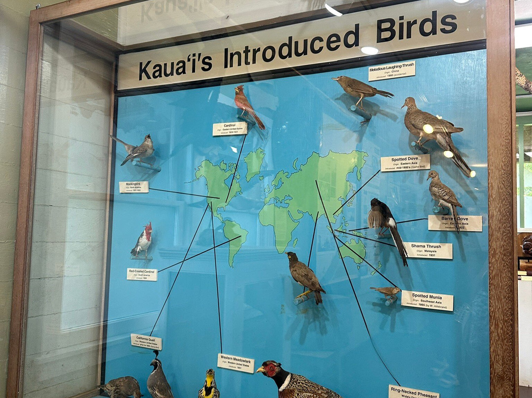 寇基自然历史博物馆-科卡哈必去景点