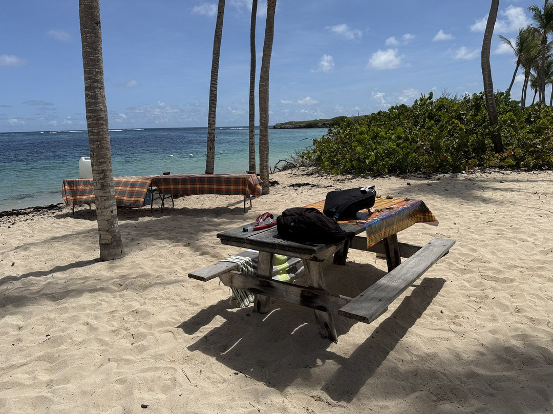 Petite Terre-瓜德罗普岛必去景点