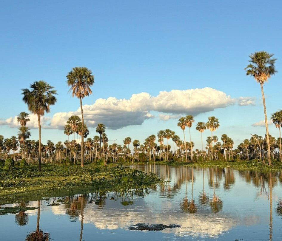 Bañado La Estrella-Las Lomitas必去景点