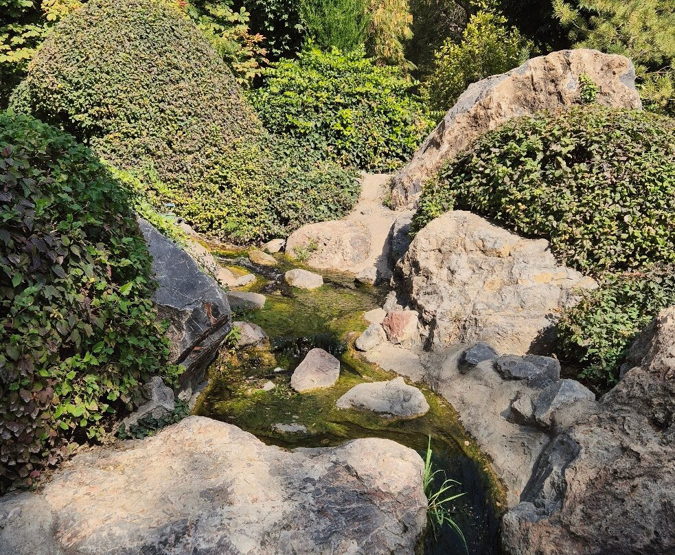 Japanese Garden-塔什干必去景点