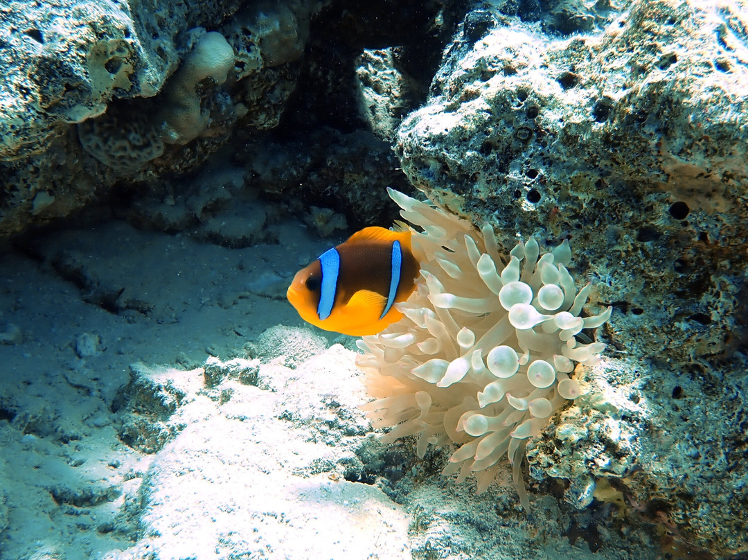 Aquarius Diving Club-马卡迪湾必去景点