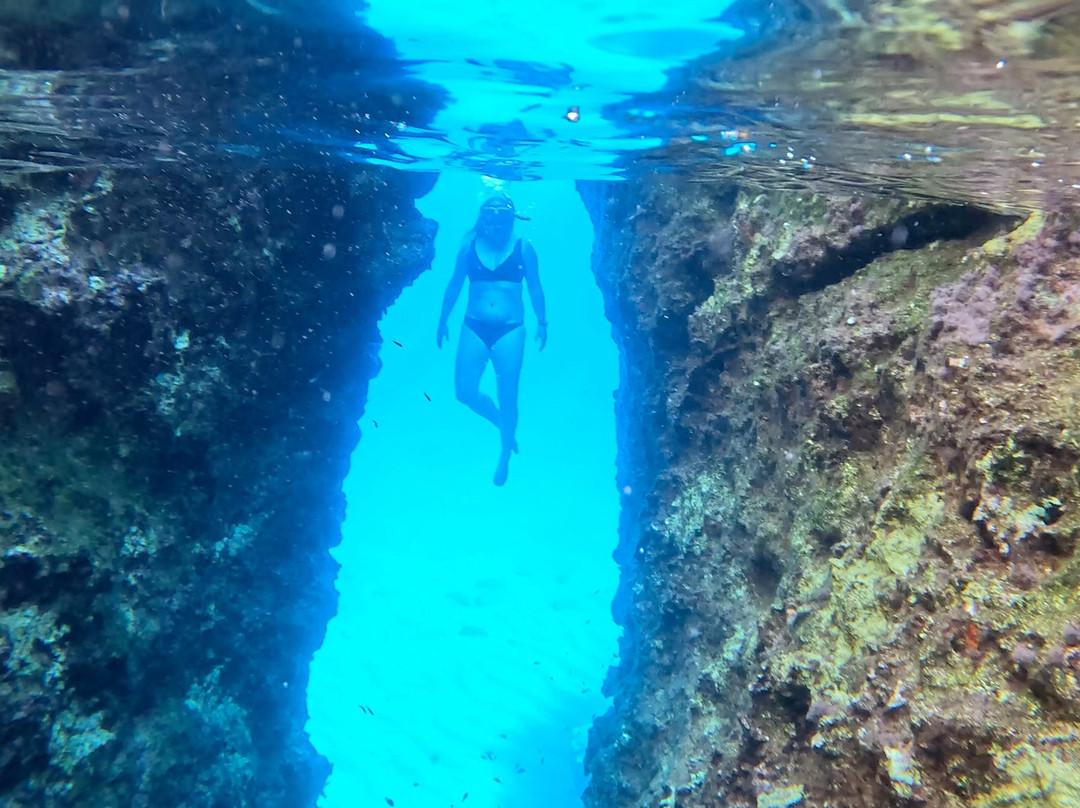 Meltemi Boat Tours, Watersports & Diving-Milopotas必去景点