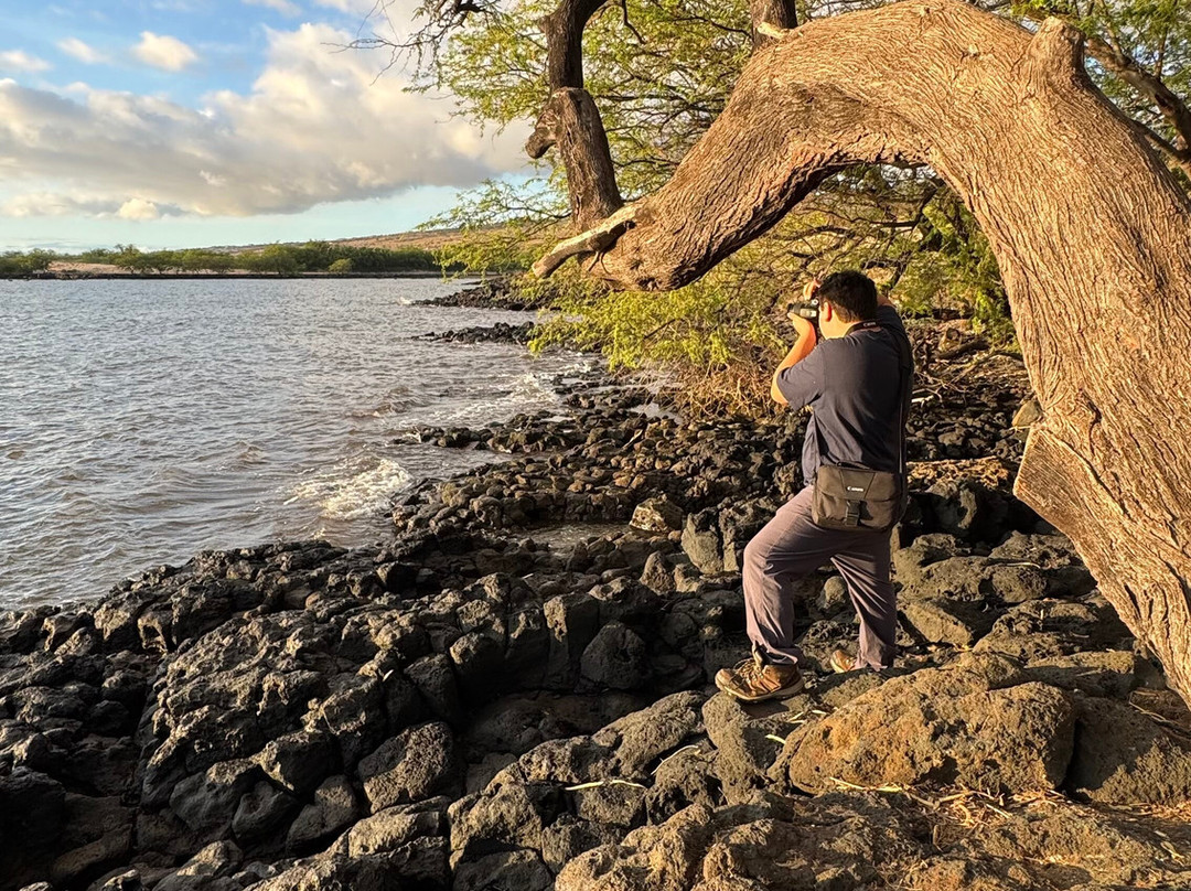 斯宾塞海滨公园-卡慕也拉必去景点