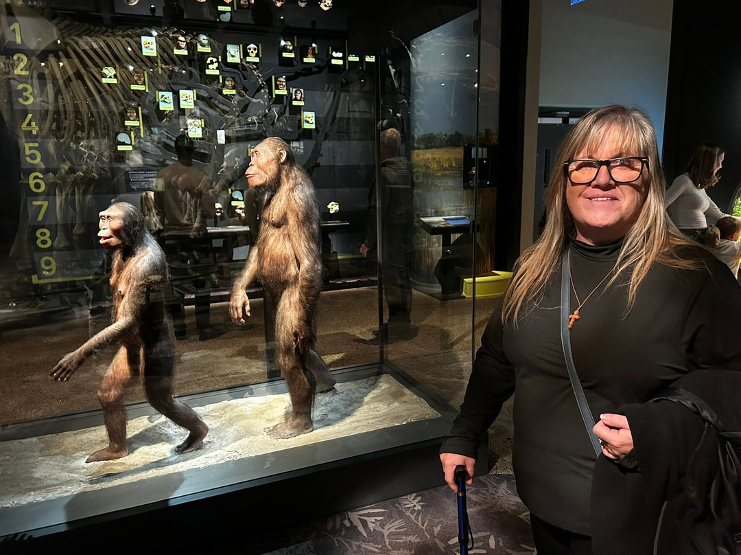 自然历史博物馆-斯德哥尔摩必去景点